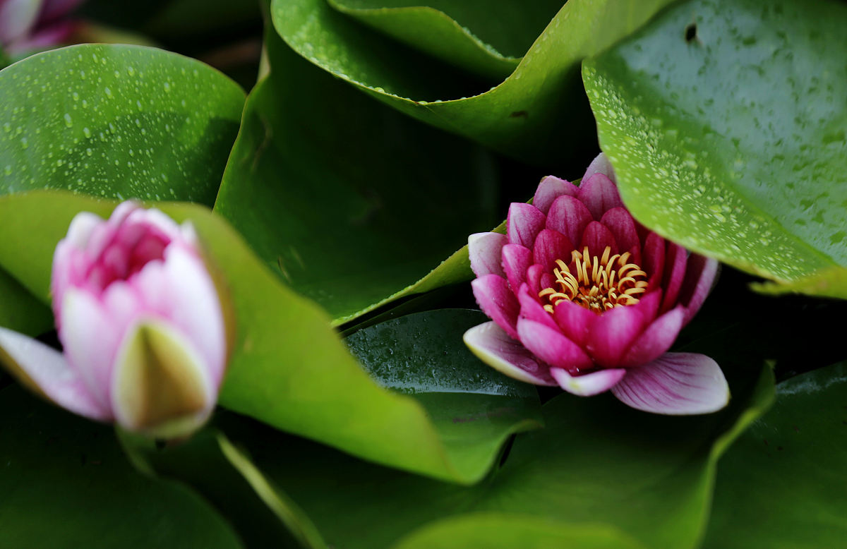 山东水利职业学院给排水工程技术专业好不好发展前景怎样