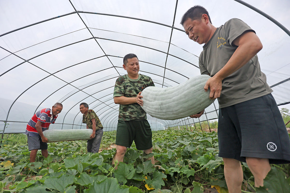 村集体经济发展思路