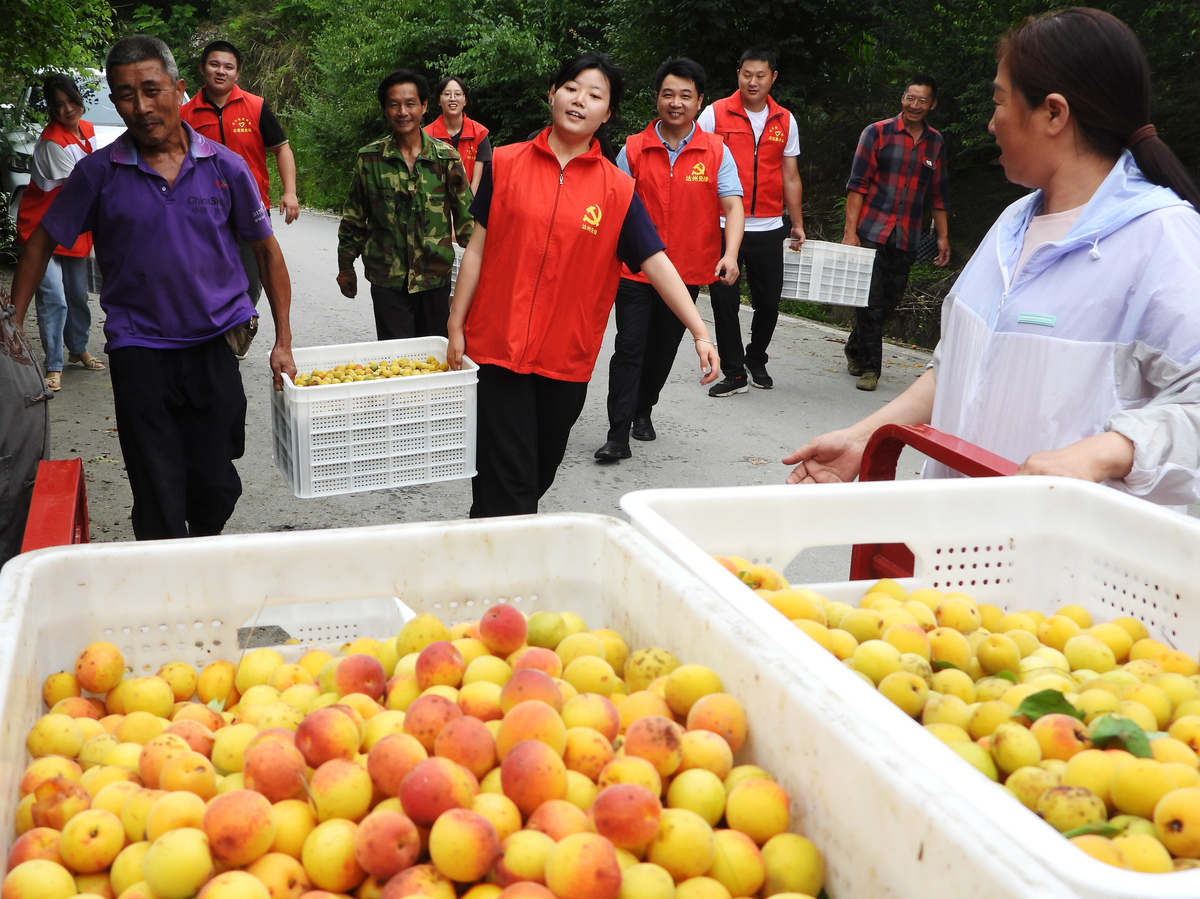 !首先你需要在直播开始前做好准备工作例如准备好农产品、准备好直播间背景、准备好宣传素材等。接下来你可以按照以下脚本来进行直播：1 开场白：欢迎大家来到我的直播间今天我们的主题是消费帮扶助农助学。我会在直播中向大家介绍5款始兴的农产品希望大家可以支持我们的农民朋友。2 介绍农产品：首先介绍第一款农产品可以详细介绍一下产品的特点、产地、价格等信息并且可以让现场