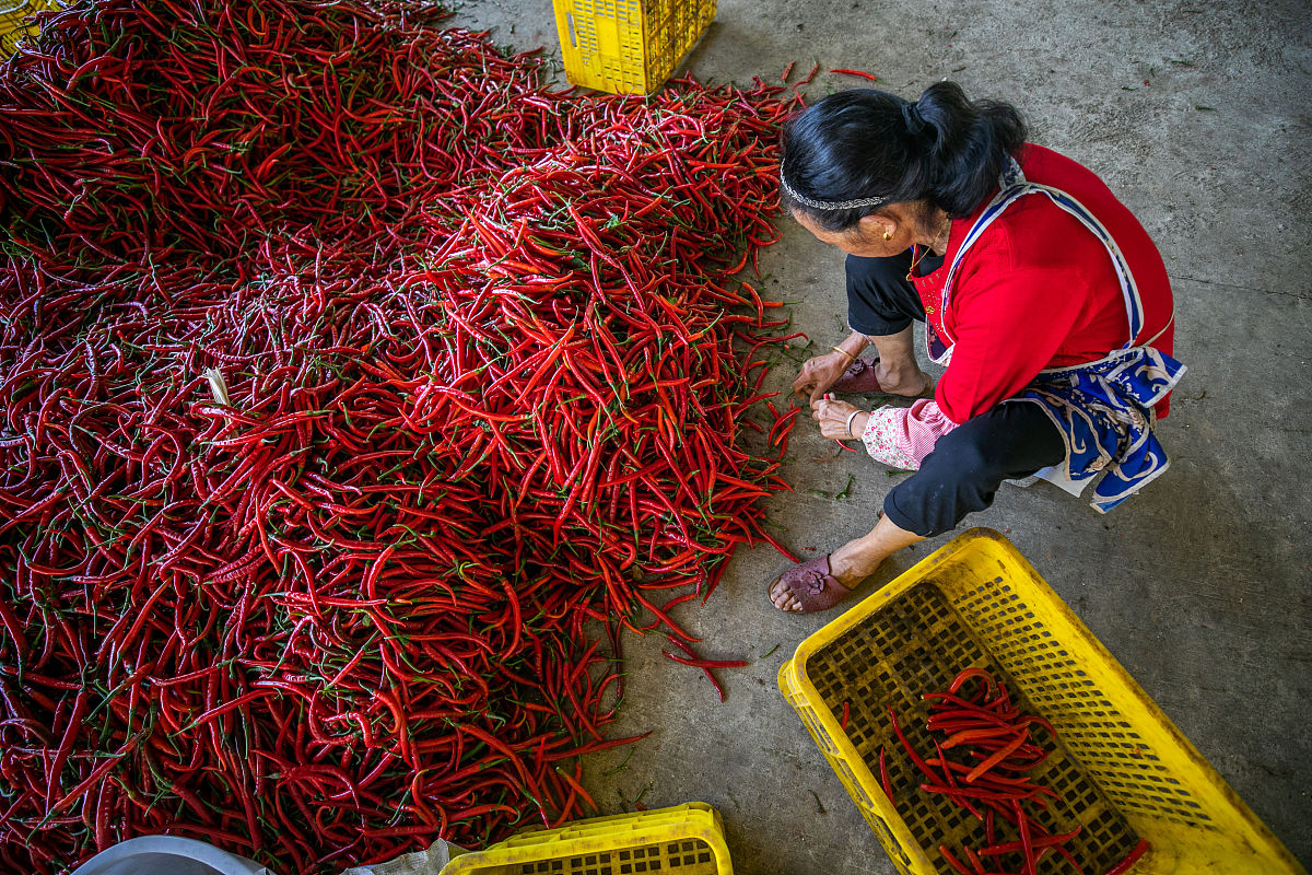 毕节卫生学校2021年招生简章 | 报考指南