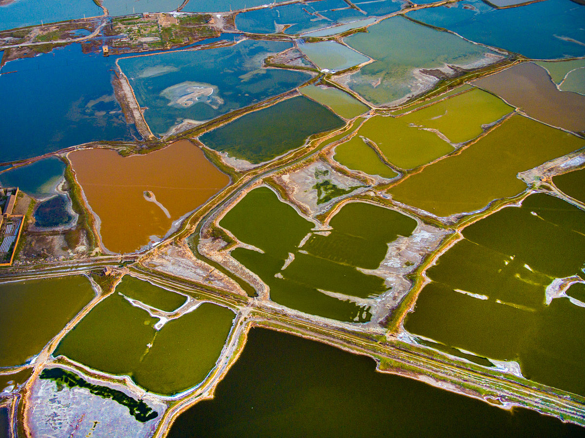 2020年四川国际标榜职业学院环境艺术设计专科专业介绍