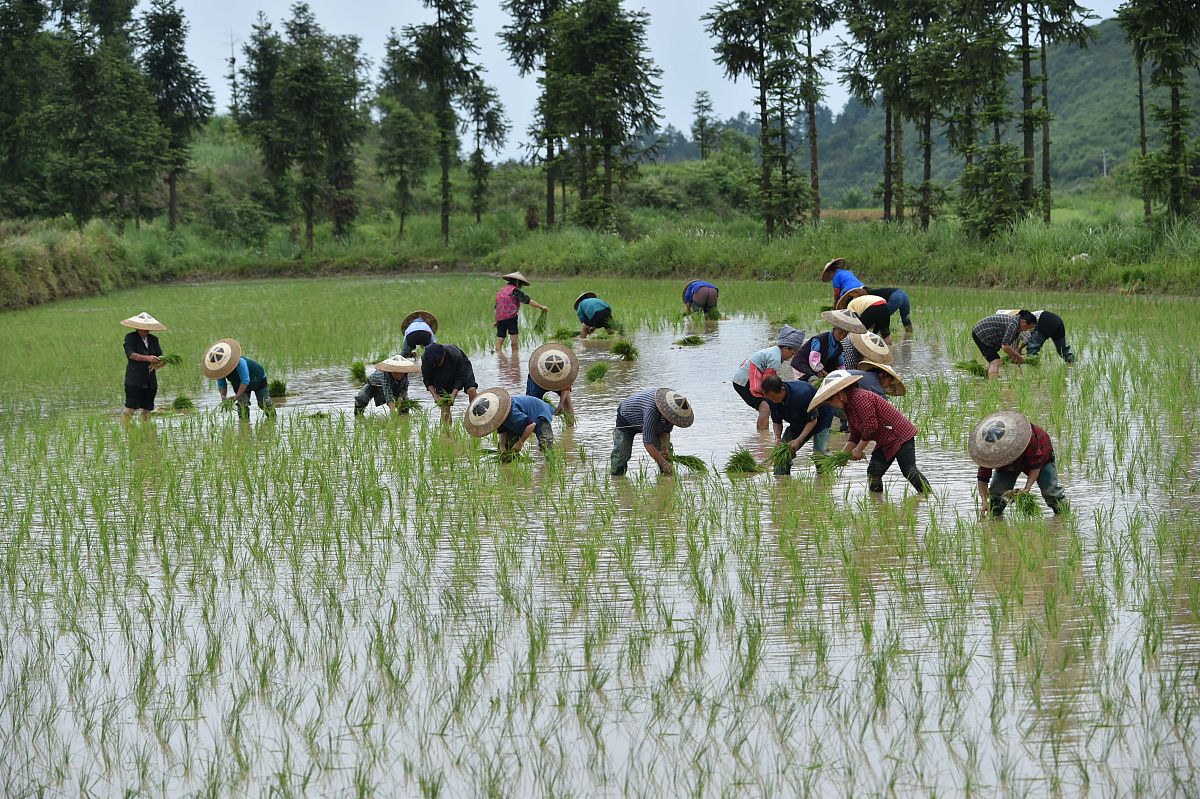 铜仁市中等职业学校好不好？用
