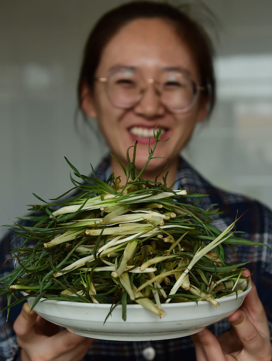 黄骅市职业技术教育中心2021年招生简章 - 报名时间、专业及入学考试