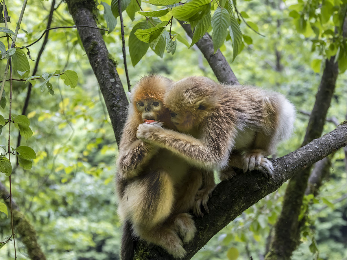 20个你可能不知道的冷知识，每个短小精悍！