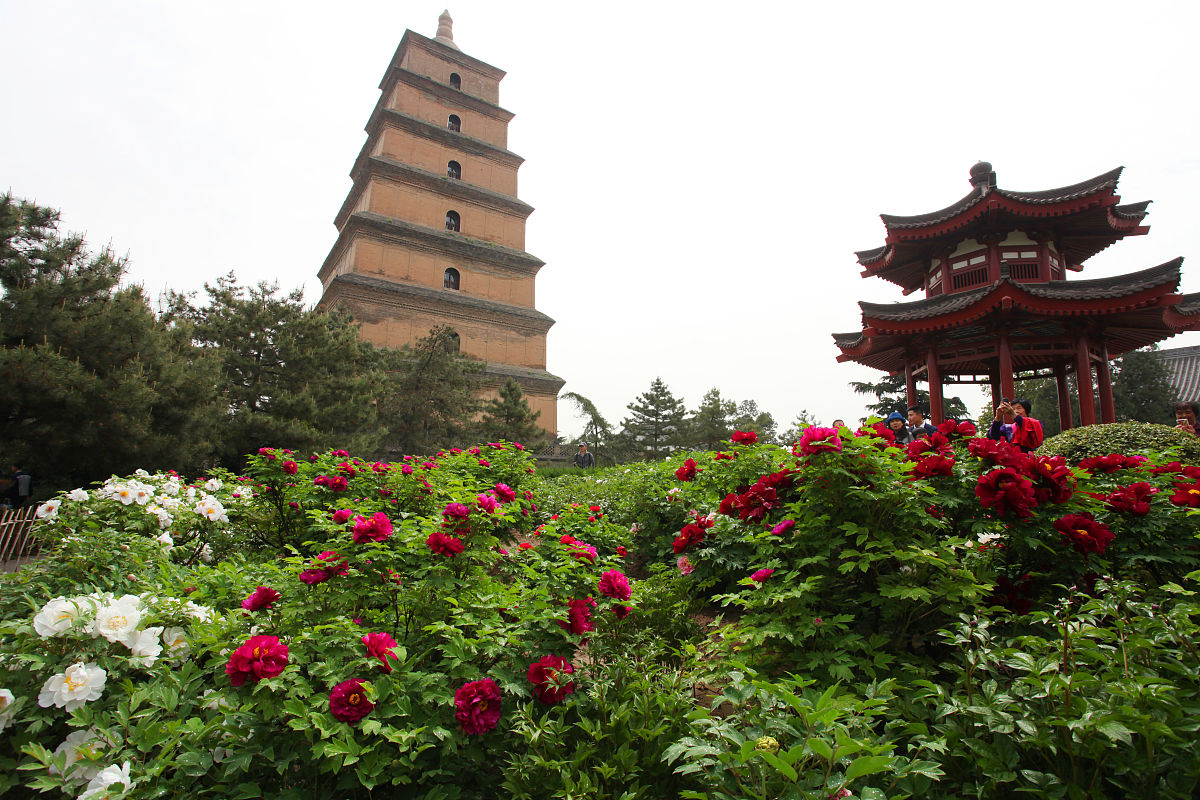 陕西建设技师学院2022年招生简章怎么样