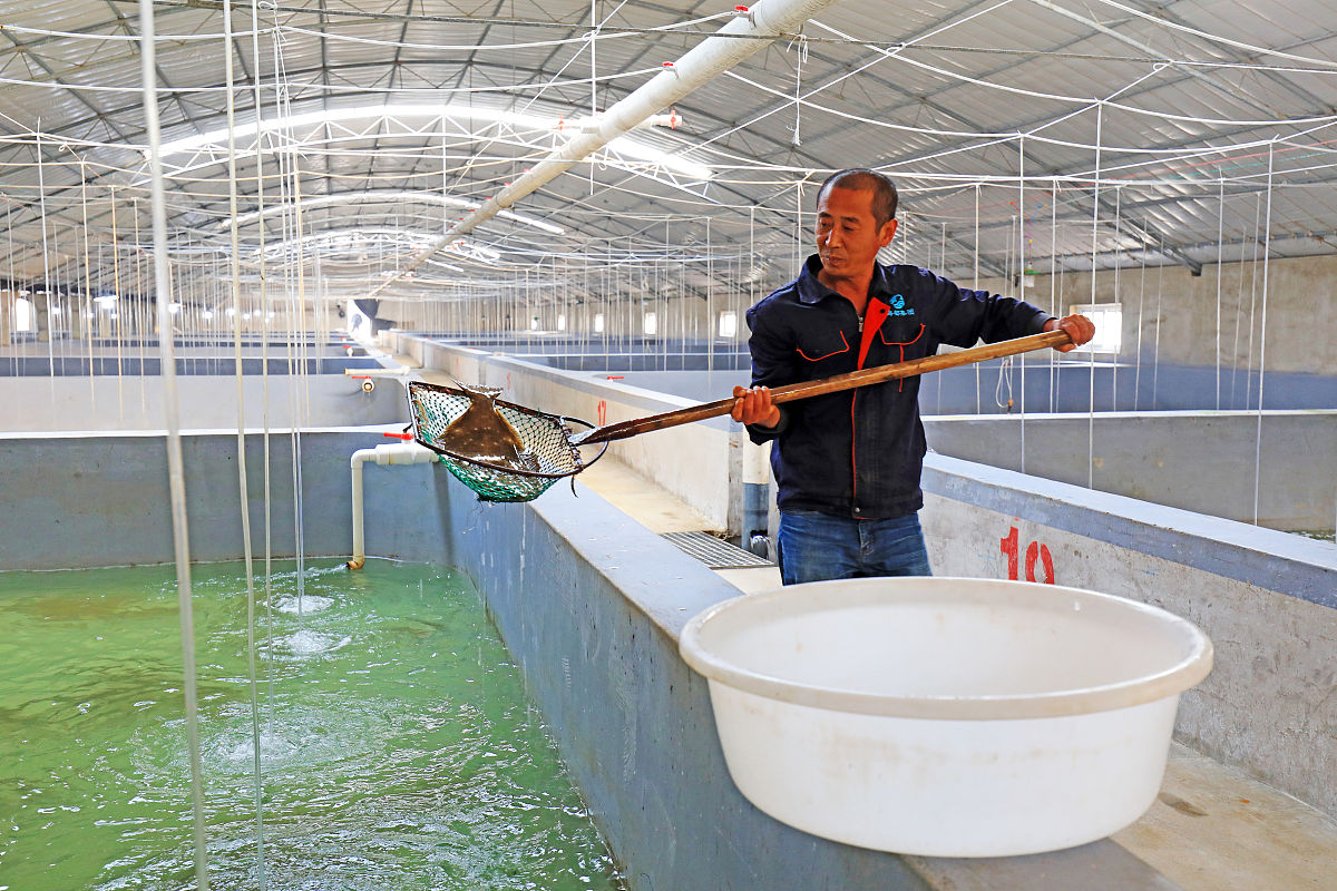 威海市水产学校具体地址_好不好