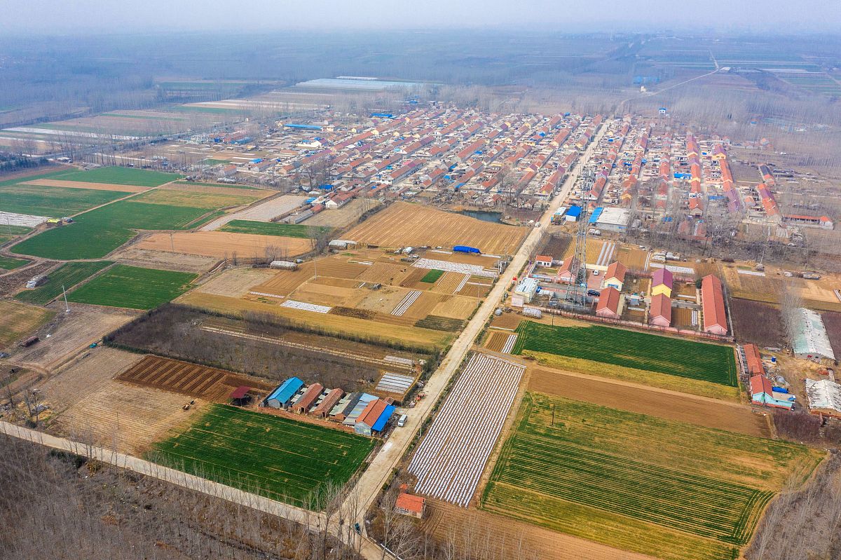 河北衡水桃城区东辛庄村种植制度问题分析及解决思路