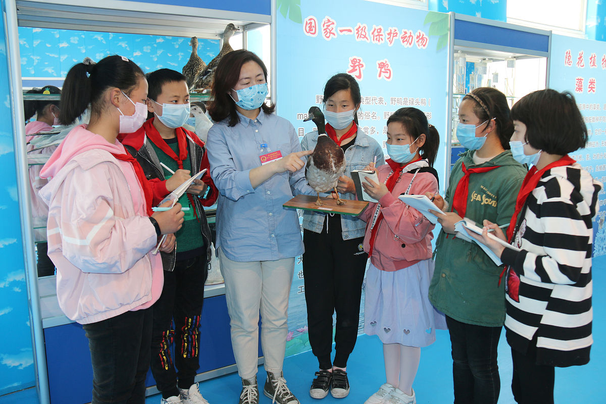 广东人吃猴脑是真的吗