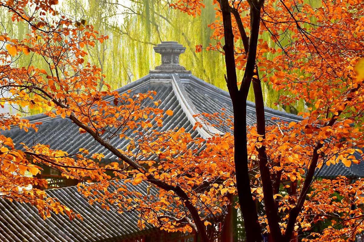 我正在写一篇关于论秋的议论文内容里想多一些古诗词字数大概在三百字辛苦你帮我写一下