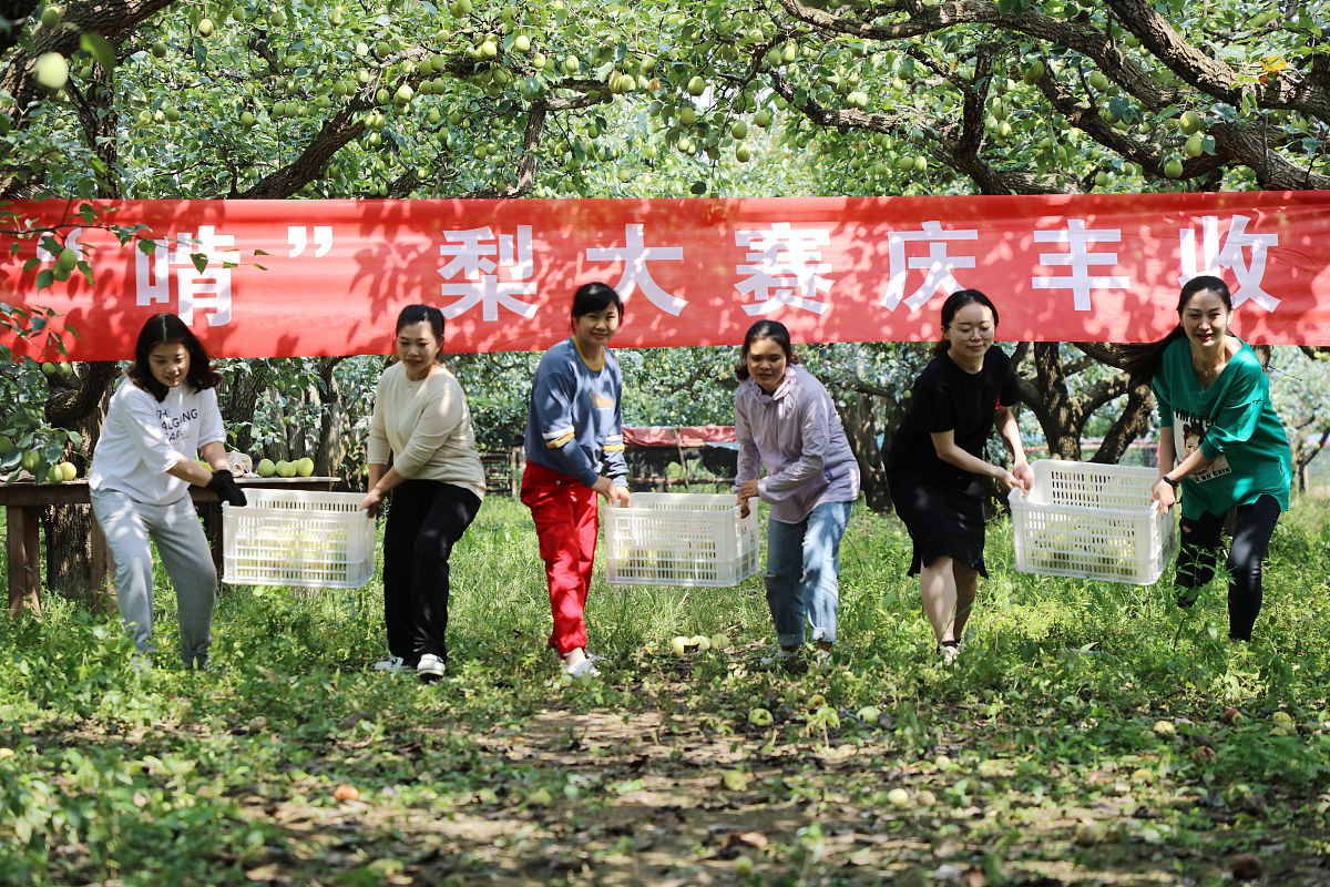 农业社会实践心得体会：感悟农业真谛，助力乡村振兴
