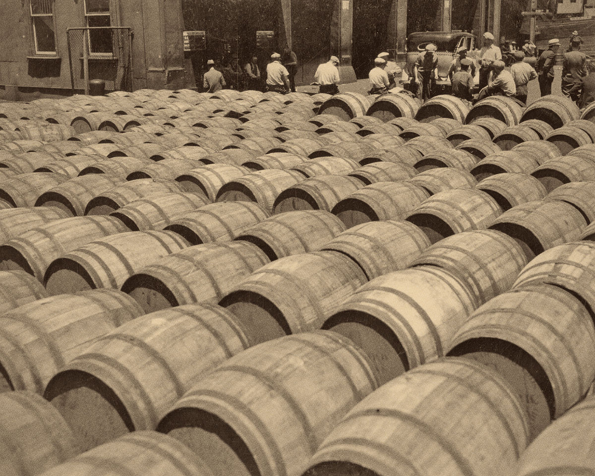 Cargo Damage Report: Mold Found During Discharge at Huanghua Port