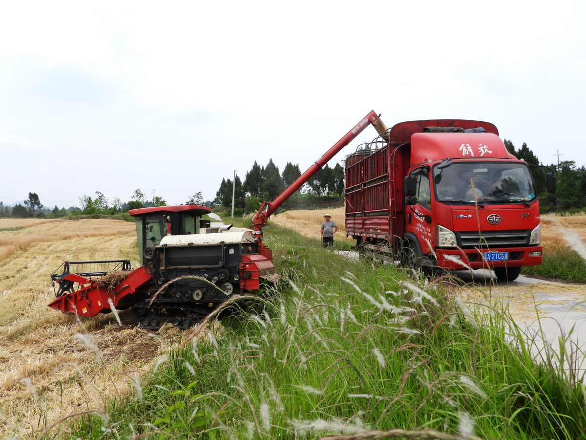 番田镇紧抓三夏生产工作：各村对六帮六助进行走访入户慰问；注意三夏农用机械使用安全提醒群众注意用电用气动火安全；全镇保障粮食晾晒准备好室内应急晾晒场地；写一篇通讯稿。写1000字。