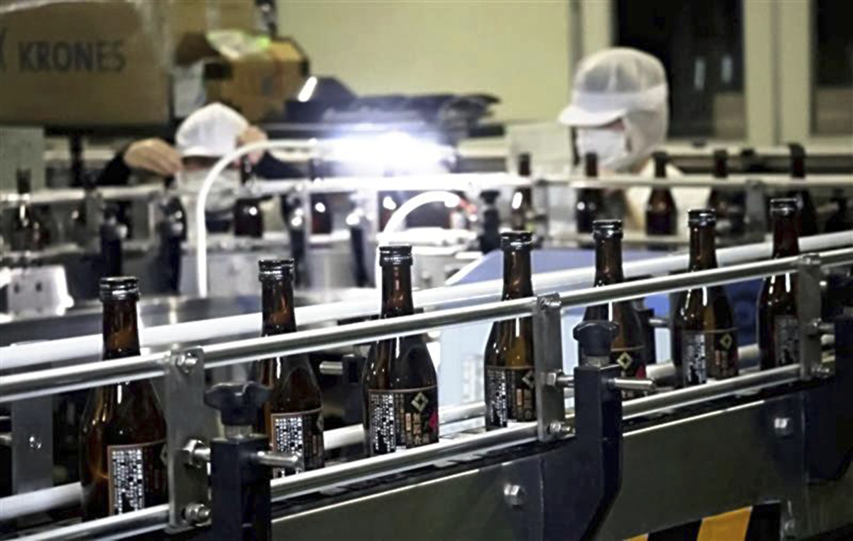 啤酒工艺实习经验：从原料到质量控制，全面提升实践能力