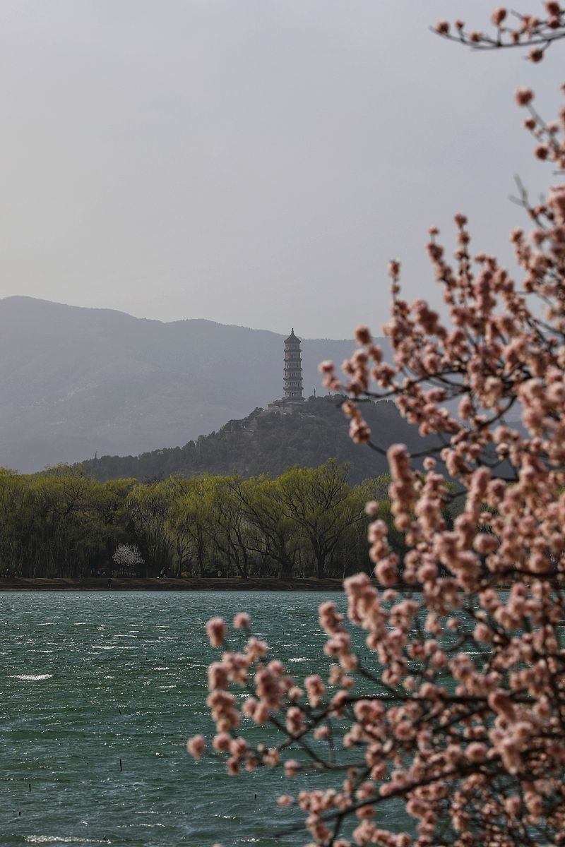 寻找春天：小学生作文