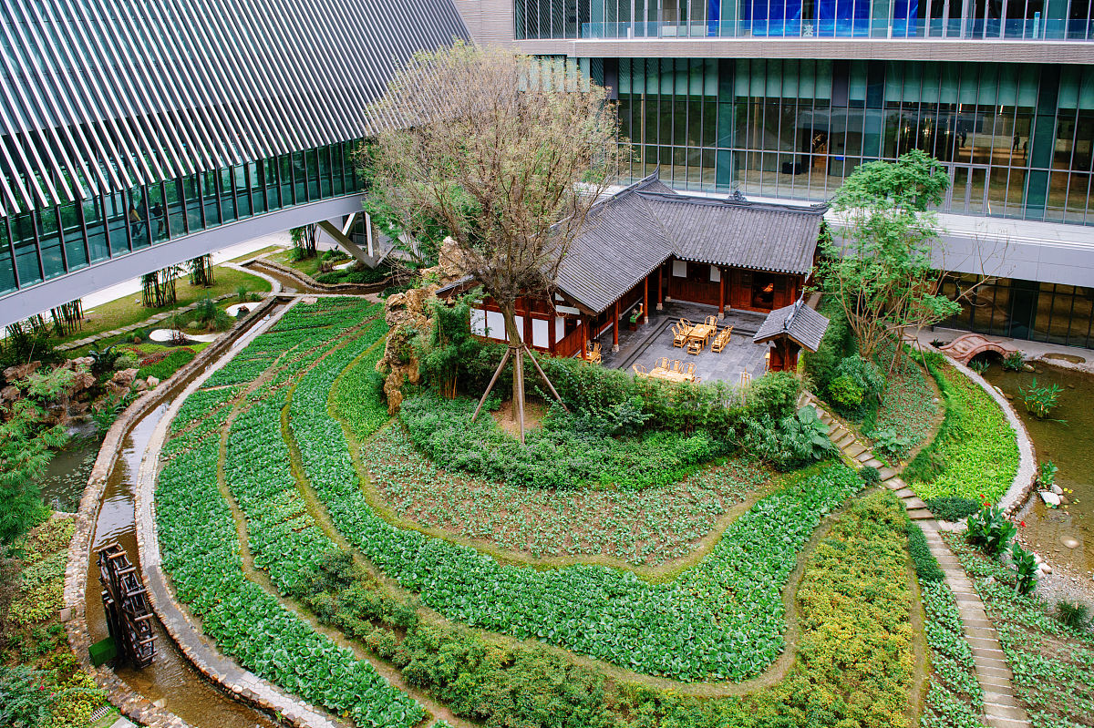 成都天府职业技术学校地址 - 交通路线及周边环境