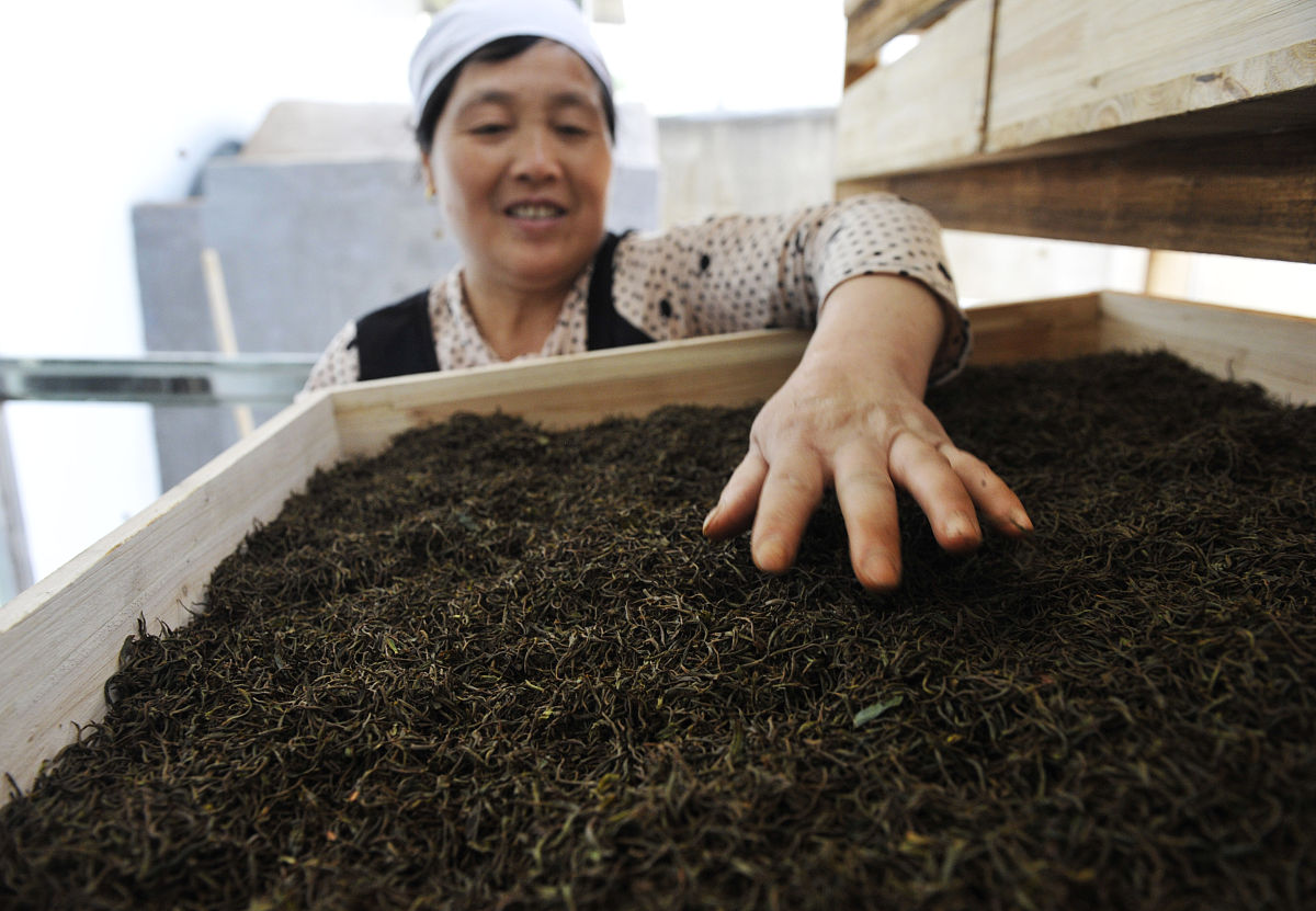 手工红茶发酵技巧：茶香蜜味全攻略