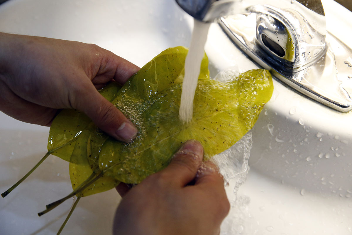 衣服染色怎么洗掉 白醋可以用什么代替，