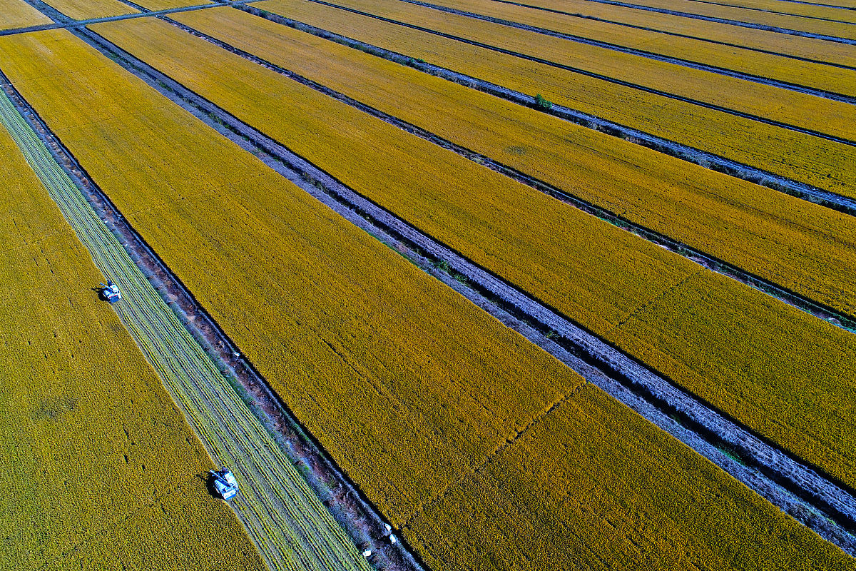 玉溪农业职业技术学院农业经济管理专业怎么样？优势、劣势全面解析