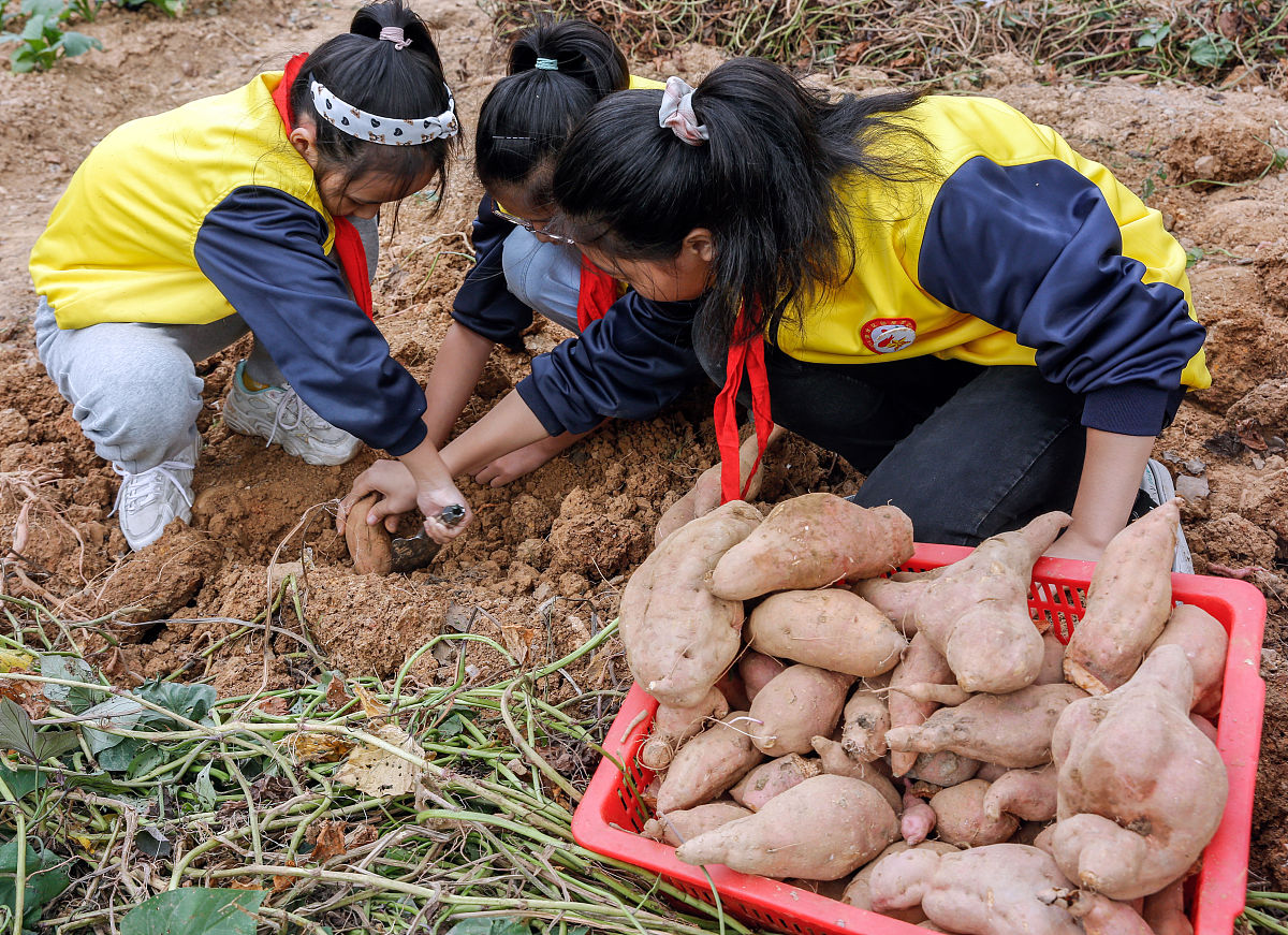 成都纺织高等专科学校2019+旅游日语专业招生