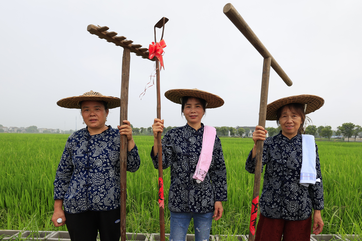 安徽省芜湖市无为市的家乡劳动文化