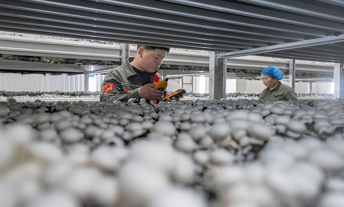 江西现代技师学院2022年招生简章