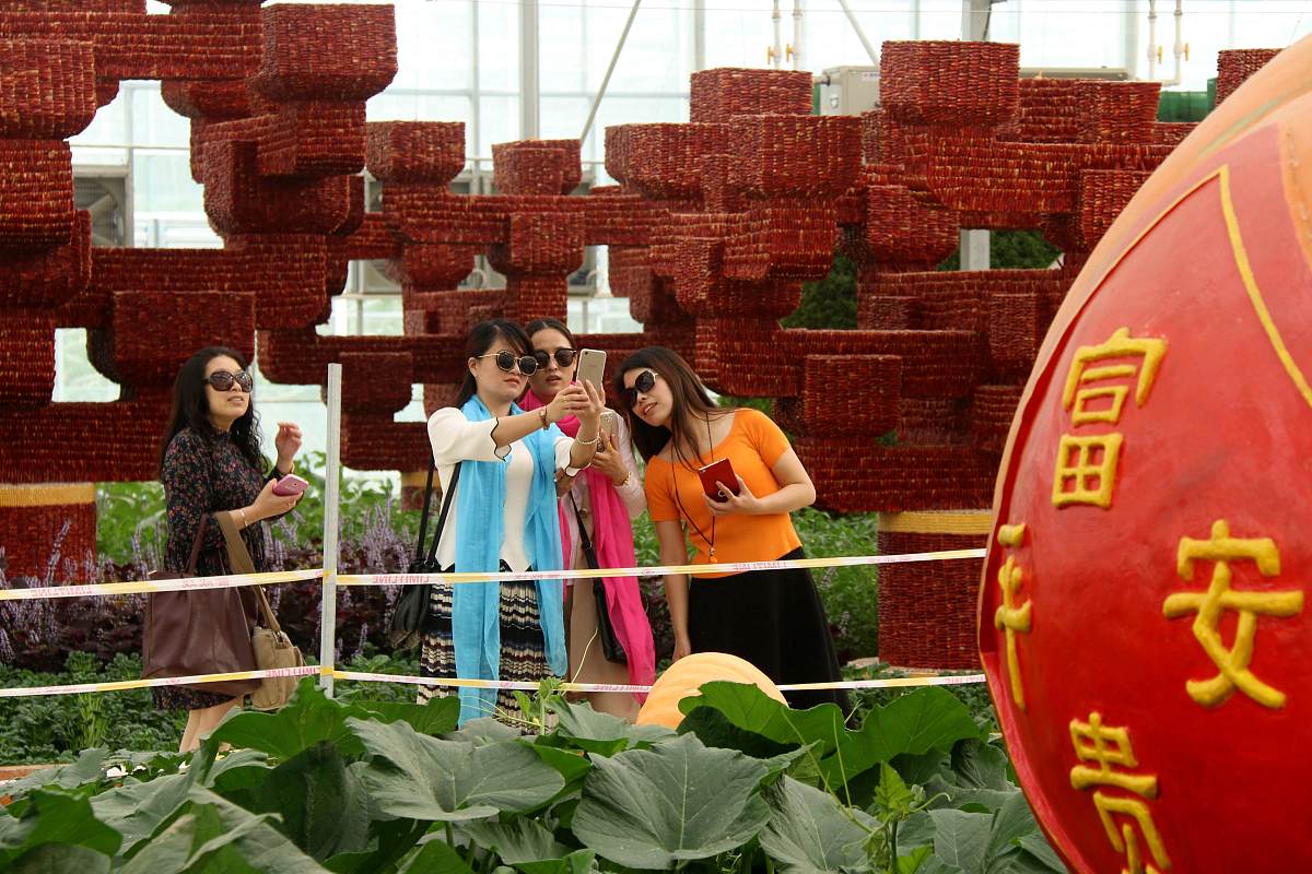 长沙省体育育局到长沙金马农业科技有限公司需要多少时间帮我用200字详细描述