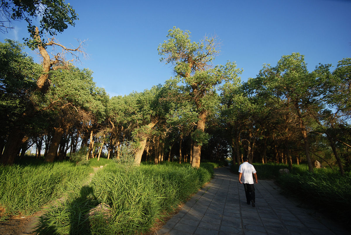 通过对水管处、分类中心、质监中心、绿建中心、动物园、植物园、园科院、绿化指导站、林业总站、环境学校等直属单位的现场座谈调研写一篇内容不少于一万字的推进上海市绿化市容系统政治监督具体化、精准化、常态化的调研报告