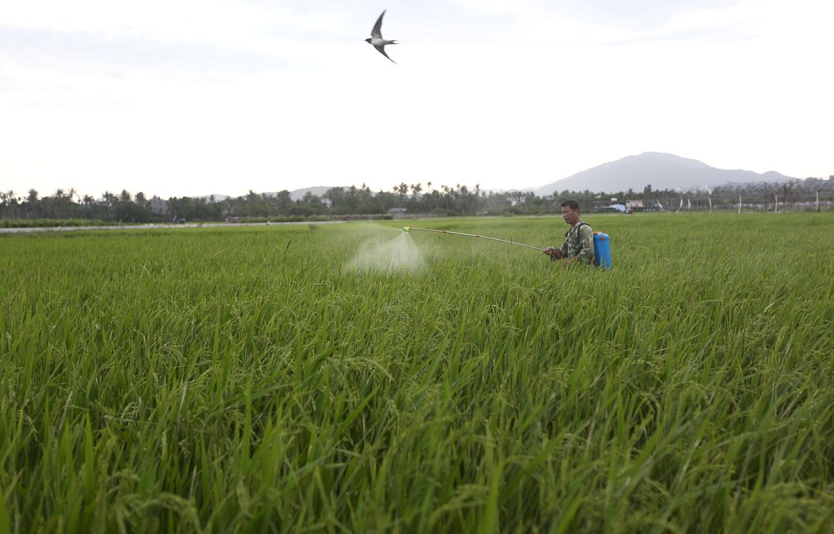 农业措施如何控制有害生物？减轻和加重为害的措施有哪些？