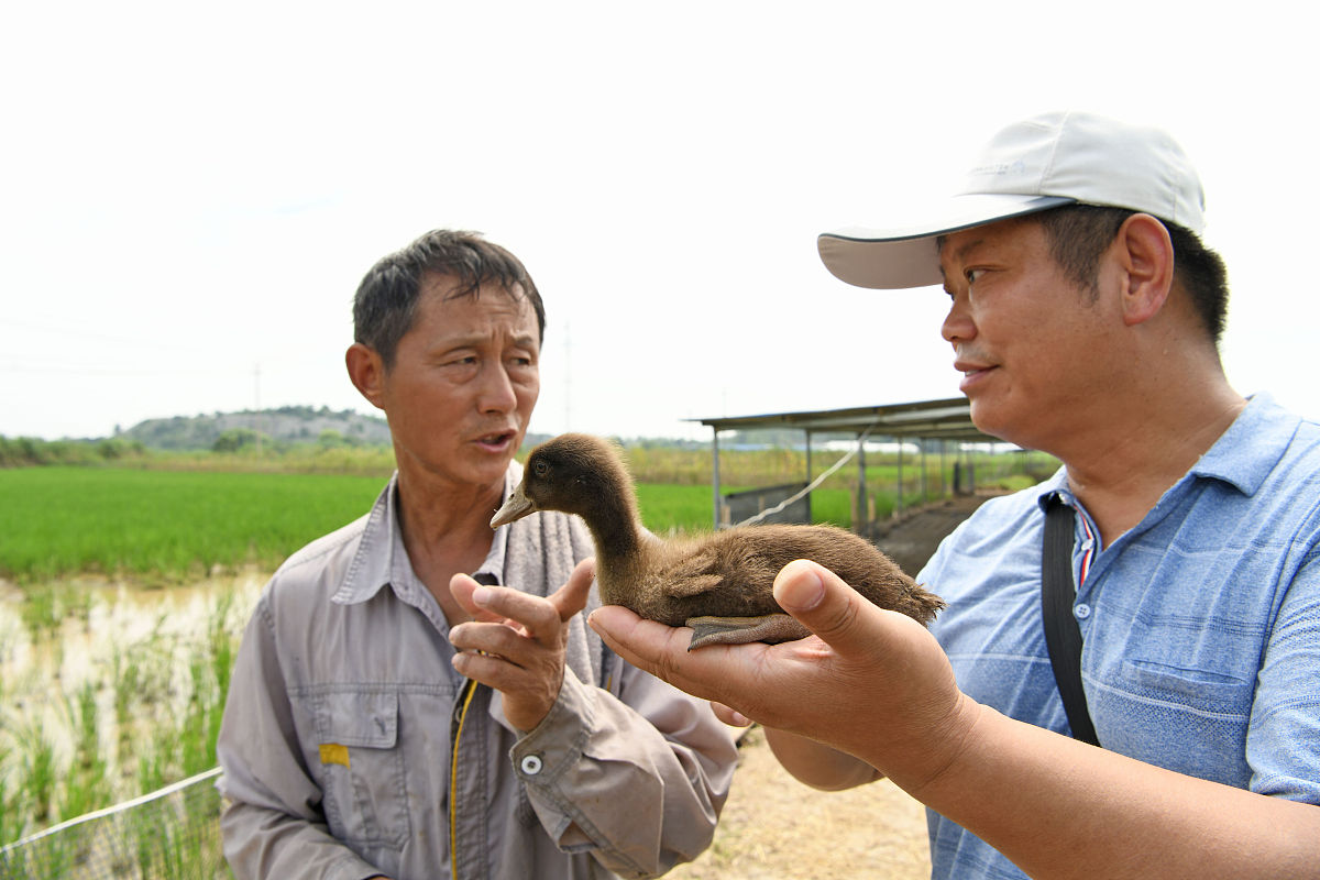 淮南职业技术学院市场营销专业怎么样