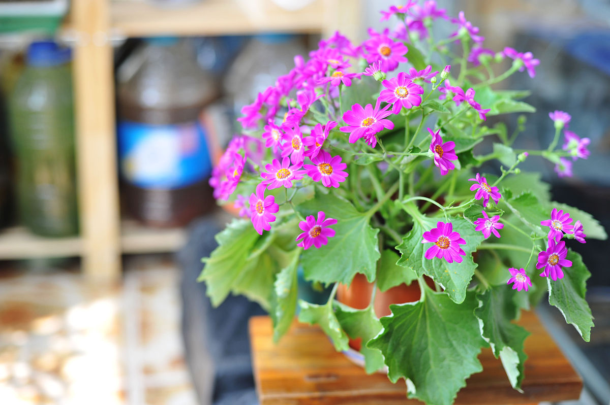 第三方甲醛监测流程详解 - 专业机构服务全流程