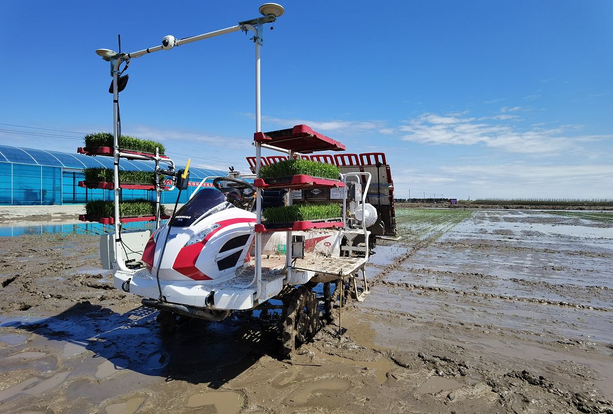 外插秧机分插机构研究进展：从单一到多排