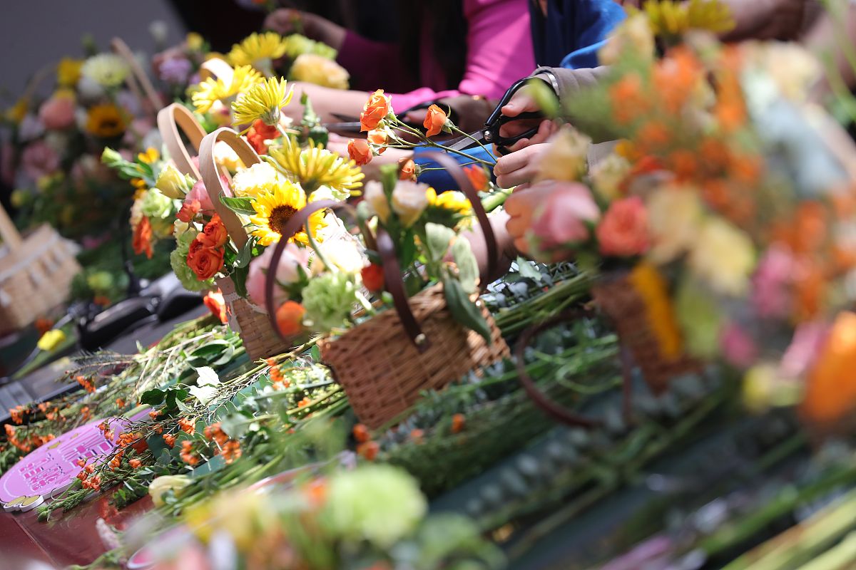 天津艺术职业学院五年制大专药剂专业好吗