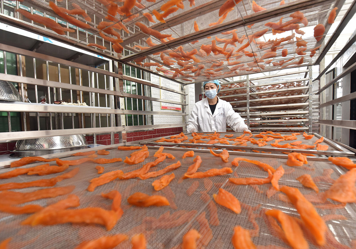 2019年成都市工业职业技术学校招生专业及计划