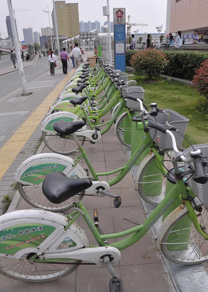 关于重庆市森林资源保护的结论不少于600字。