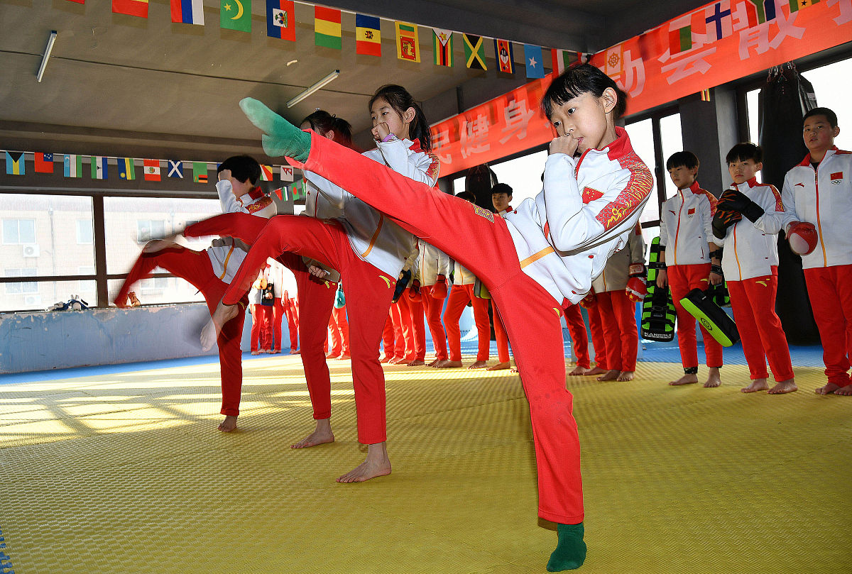 齐鲁武术学校招生专业：拳术、散打、武术表演、武术理论