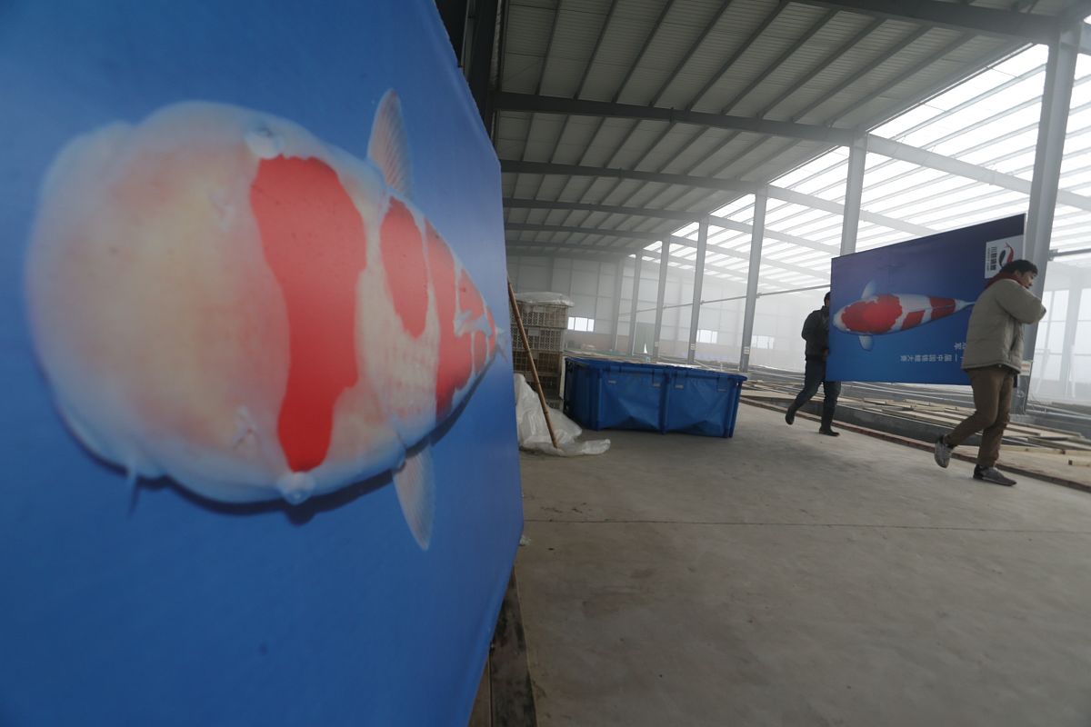 兴业县中等职业技术学校制冷与空调设备运用与维修专业怎么样？好就业吗？