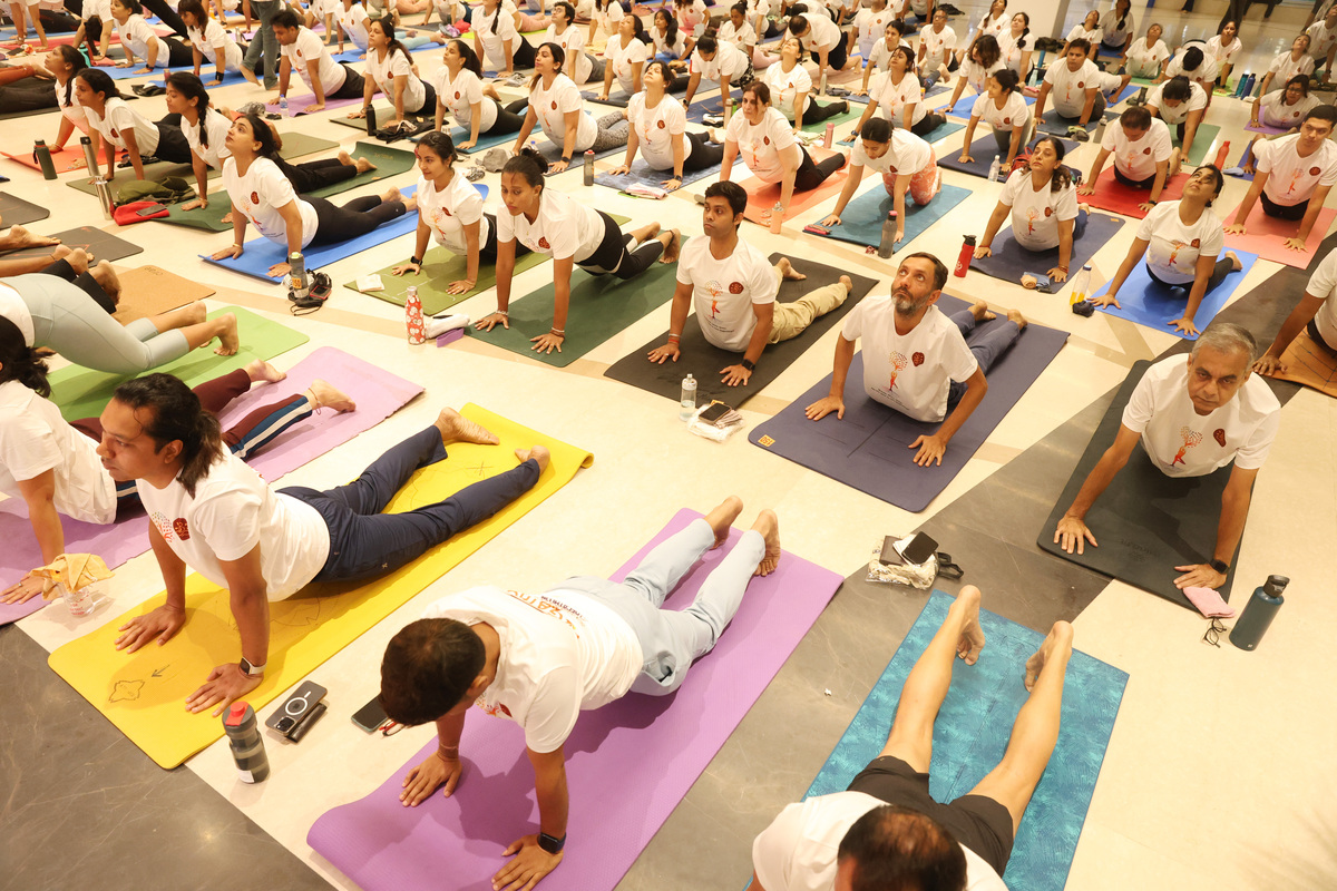 全球瑜伽日盛大举行：数百万瑜伽爱好者共襄盛举