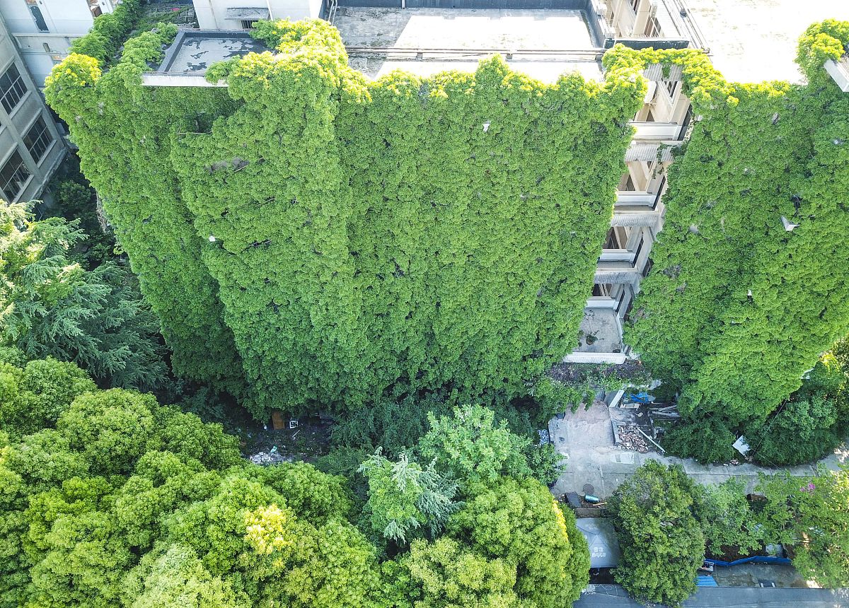 绿色节能新工艺在建筑工程施工中墙体施工技术的应用