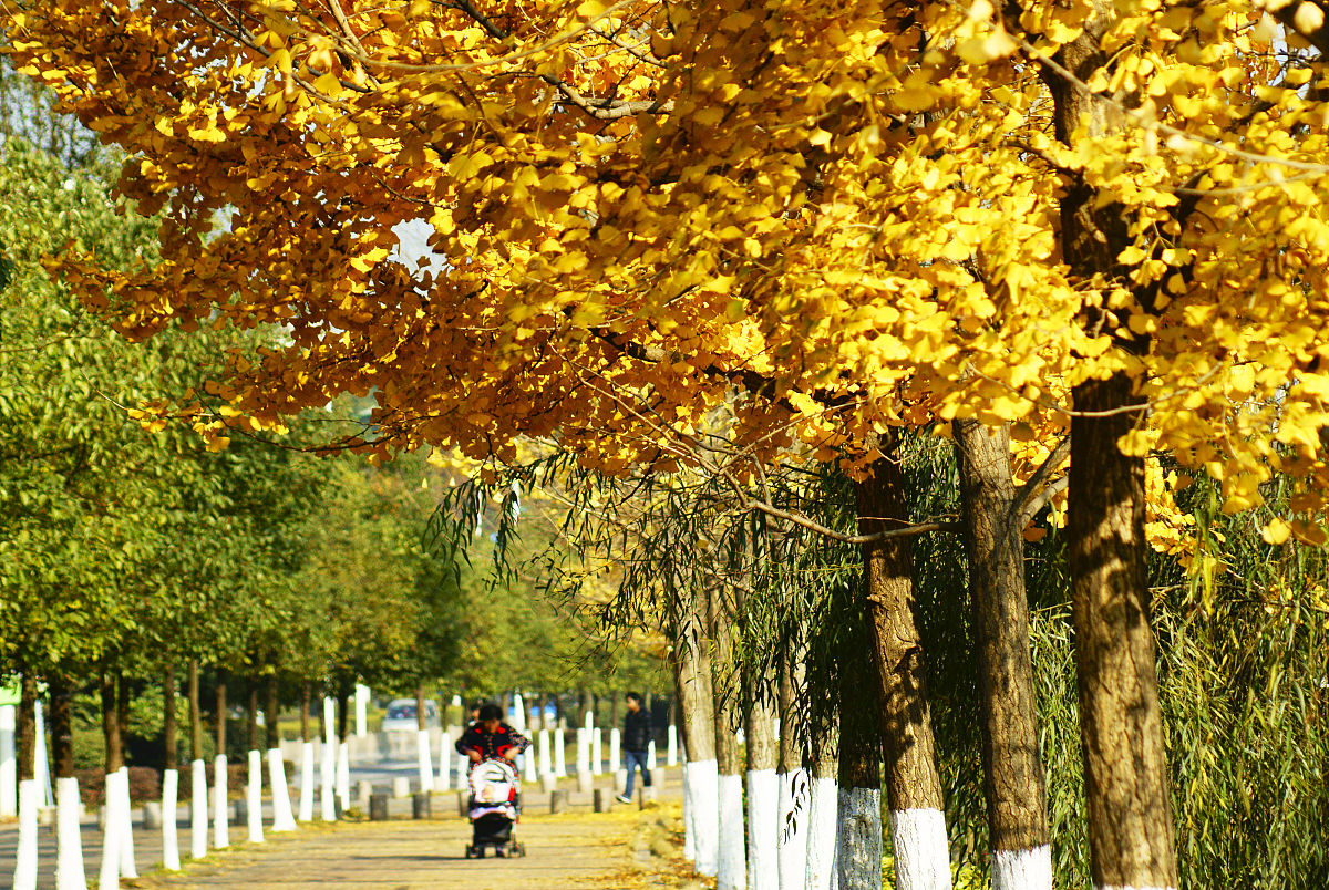 重庆三峡联合职业大学计算机专业就业前景：毕业生如何提升竞争力