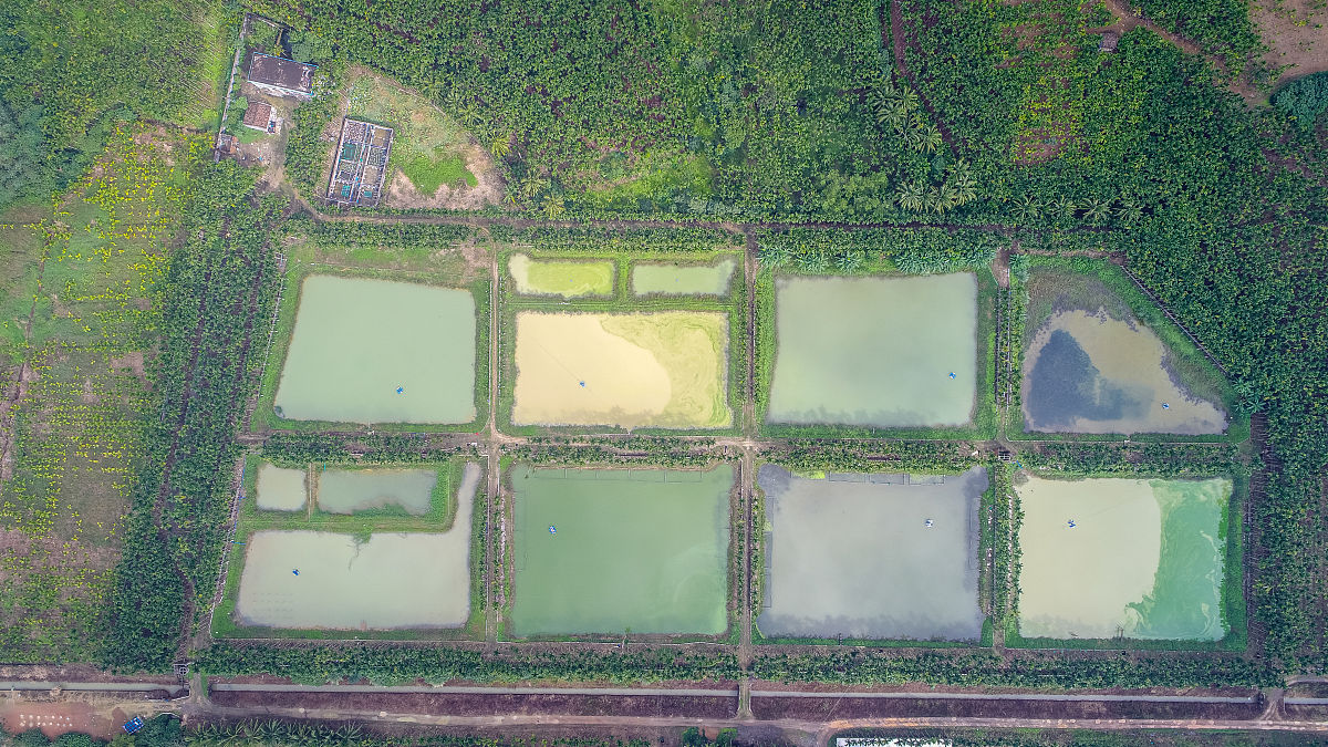 韶关学院医学院药剂专业怎么样？就业前景如何？