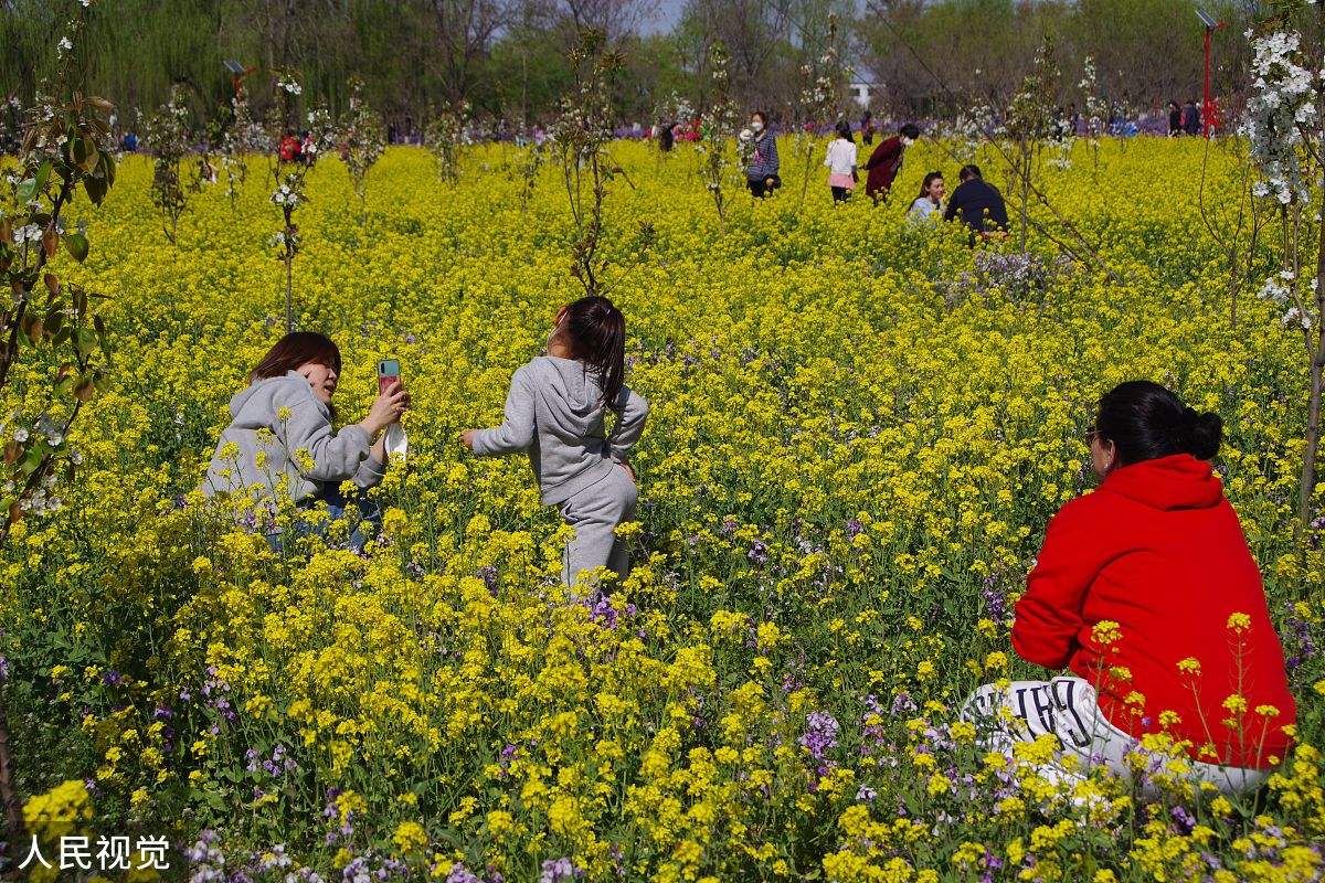 春天诗歌：赞美春天的美丽与希望