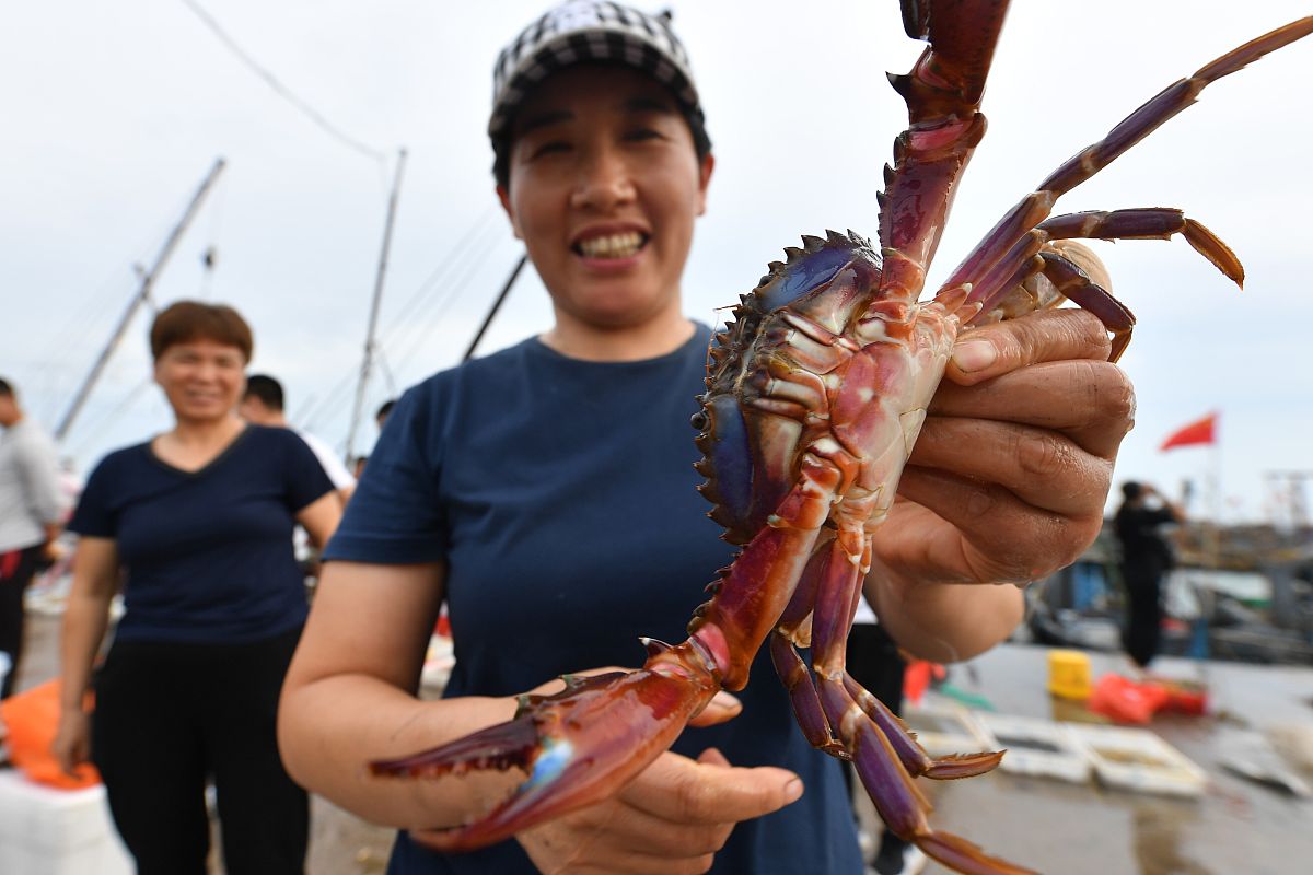 青岛城阳区职业中等专业学校办学层次怎么样？