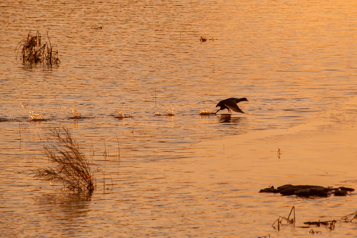 淄博信息工程学校2021年招生条件是什么