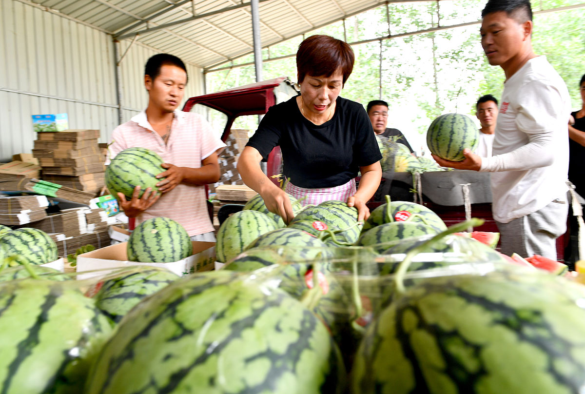 36岁海事检验师的职业规划