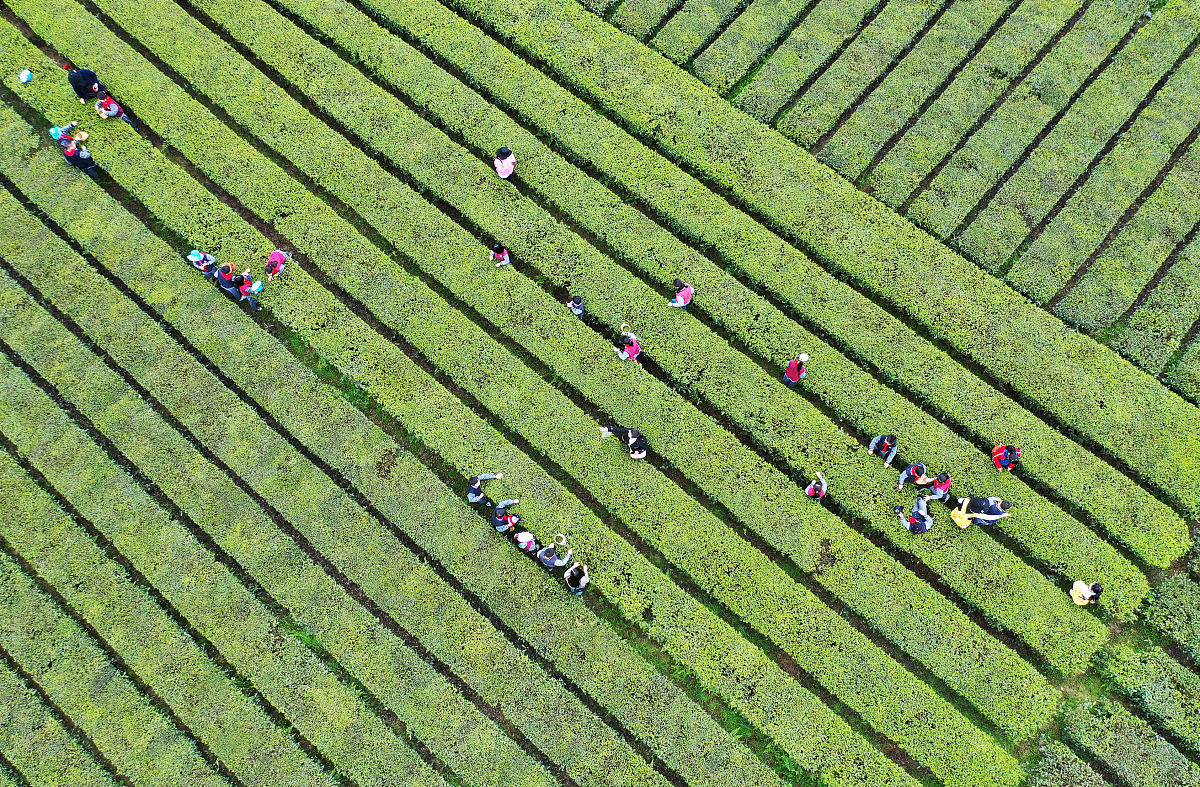 湖北航空技术学校2022年地址在哪里