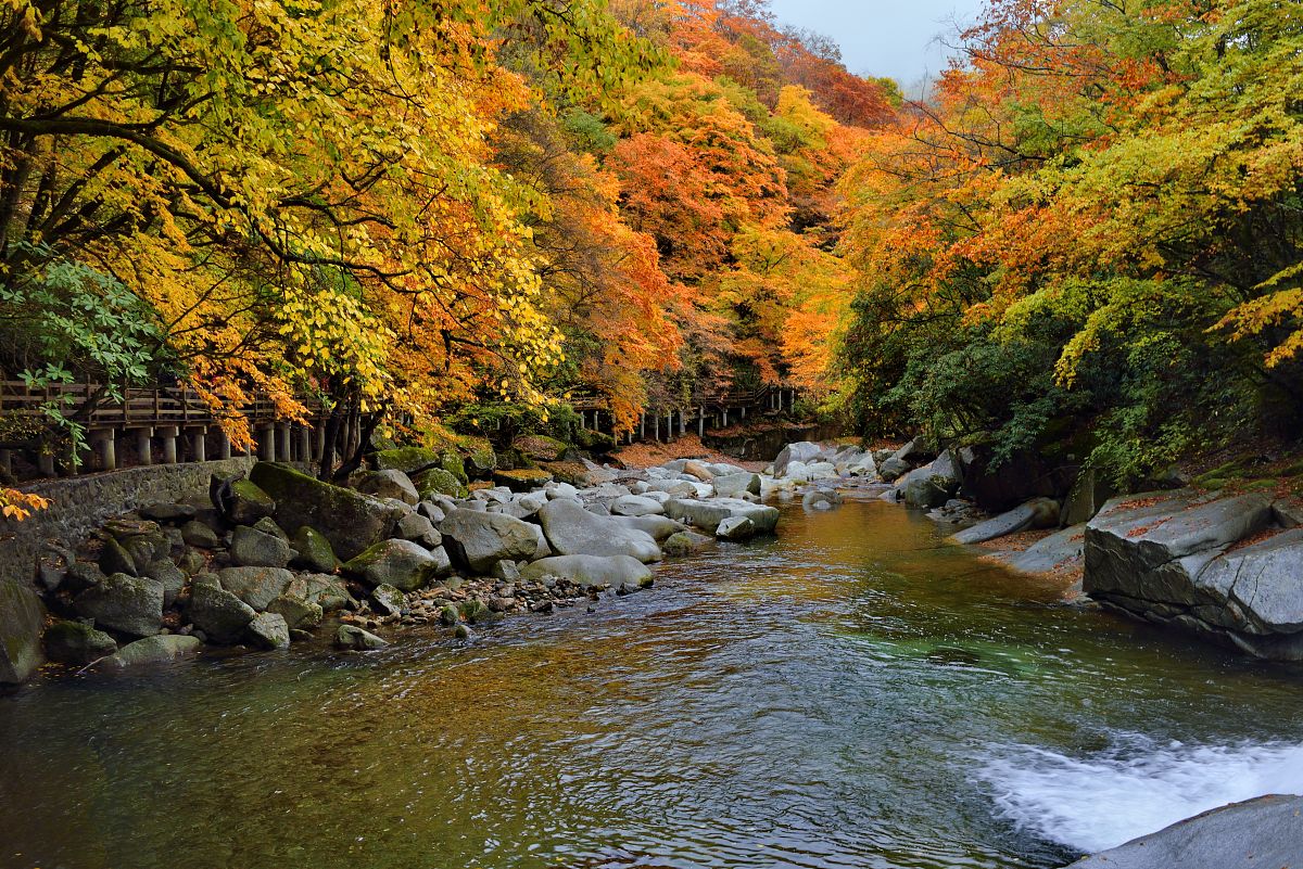 2019年10月22日,四川米仓山景区大坝黑熊沟深秋风光.