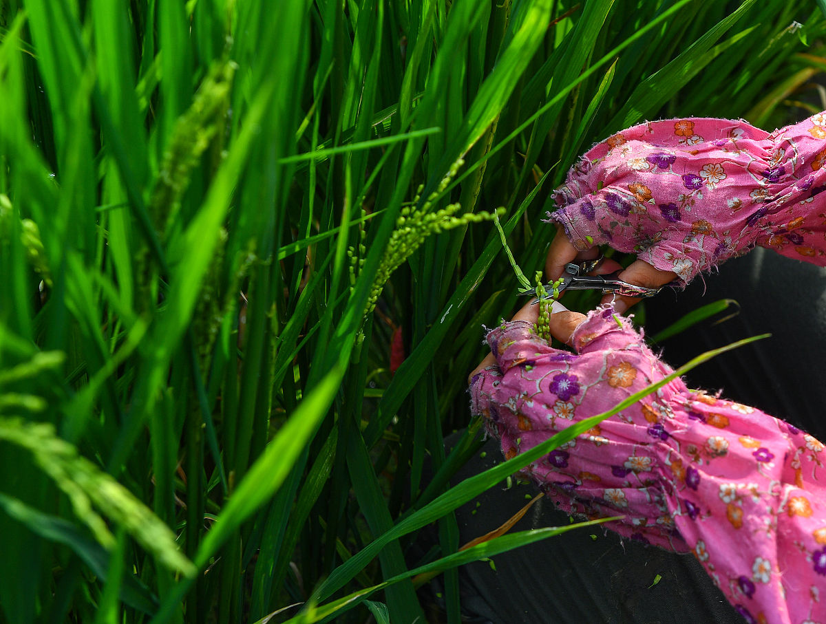 四川省农业广播电视学校市场营销专业介绍