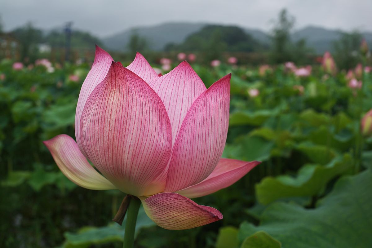 贵阳女生上中专学校学什么专业好