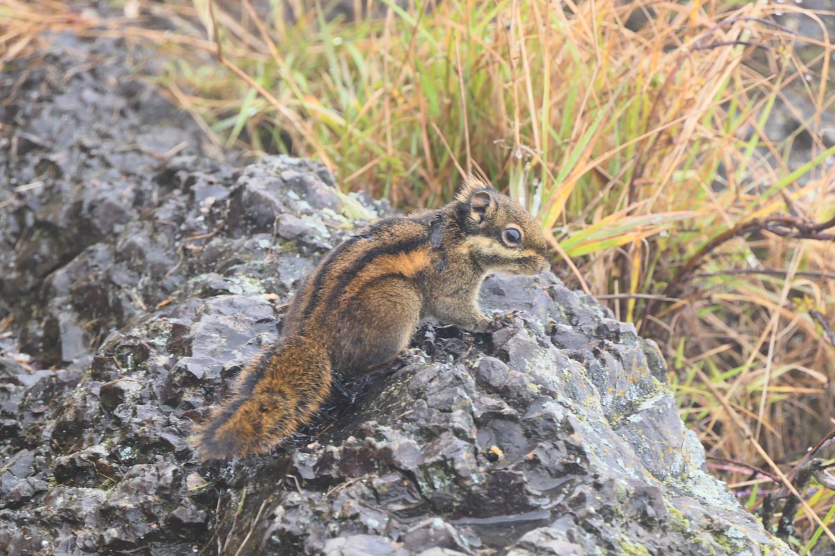 乐山市现代经济管理学校2020年招生简章