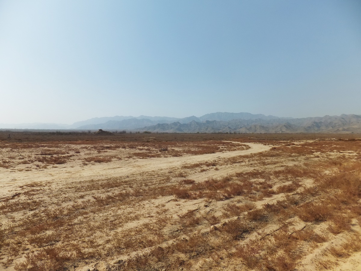 兰州秦王川湿地成土条件分析 - 影响因素及重要性